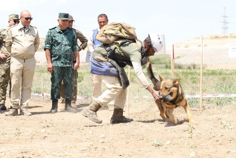Zəngilanda Minalardan və partlamamış hərbi sursatlardan təmizləmə üzrə İşçi qrupunun iclası keçirilib