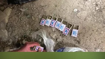 Bakıda narkotik bitkilər becərən şəxs saxlanılıb - VİDEO