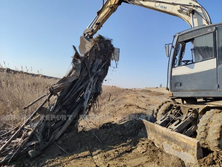 Salyanda brakonyerlərə qarşı reyd keçirilib, qanunsuz balıq ovunun qarşısı alınıb