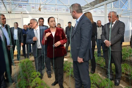 Bərdədə Kənd İnvestisiya Layihəsi çərçivəsində istixana yaradılıb