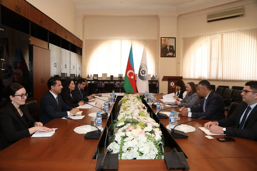 Səbinə Əliyeva BMT rəsmisi ilə mina problemini müzakirə edib