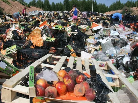 ​Жители Смоленска уносят с полигона уцелевшие санкционные продукты