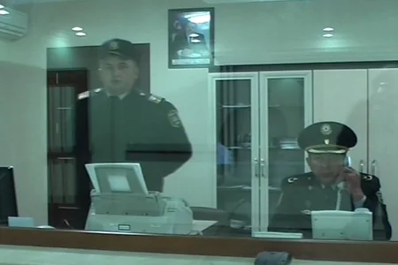 Azərbaycanda civə alverçiləri tutulub - FOTO