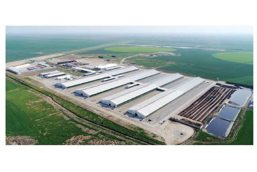 Azərbaycanda yeni ətlik və südlük istiqamətli aqroparklar yaradılır