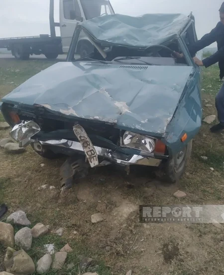 Oğuzda avtomobil qoyun sürüsünü vurub, 10-dan çox heyvan tələf olub