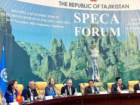 Ambassador: Azerbaijan actively pursues green development strategy