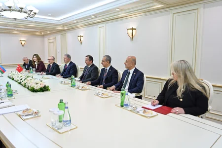 Sahiba Gafarova mulls global, regional issues with Hulusi Akar