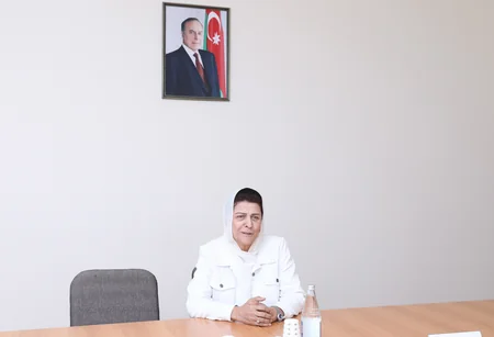 İqtisadiyyat nazirinin I müavini Lerikdə vətəndaşları qəbul edib