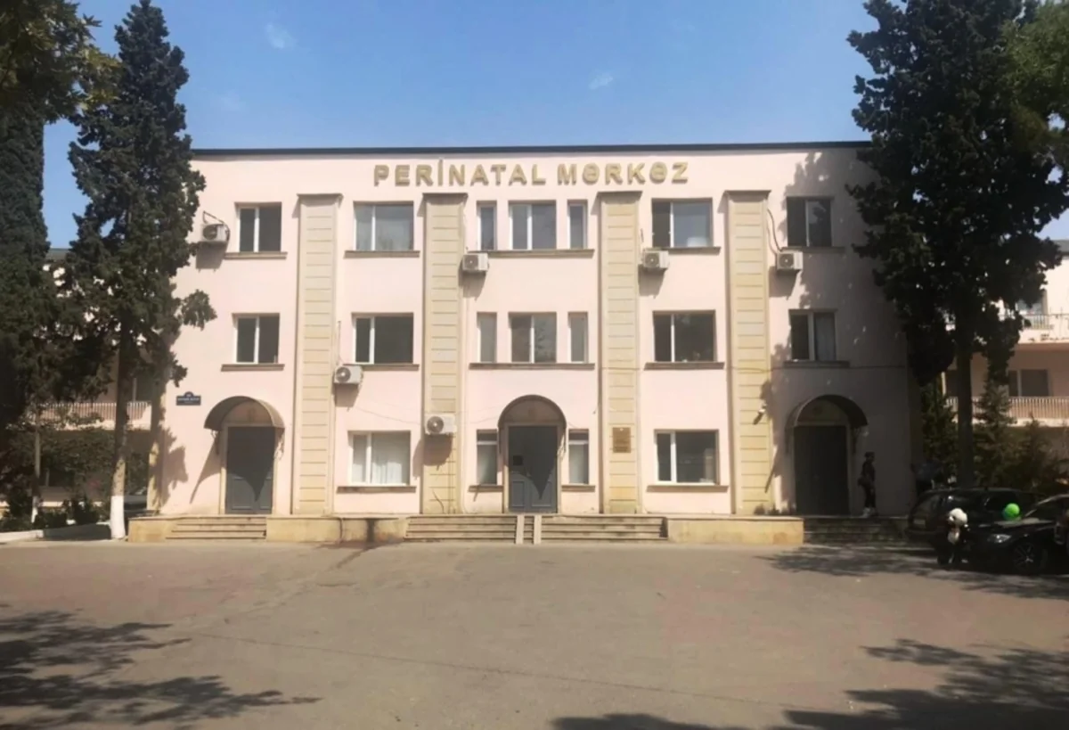 В Сумгайыте найден недоношенный человеческий эмбрион