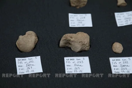 Scientific research conducted in Gobustan reserve discussed in Baku