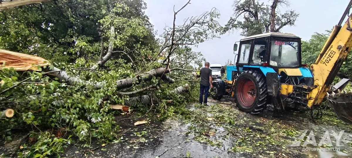 Yevlax-Zaqatala-Gürcüstan avtomobil yolunun bir hissəsindəki problem aradan qaldırılıb
