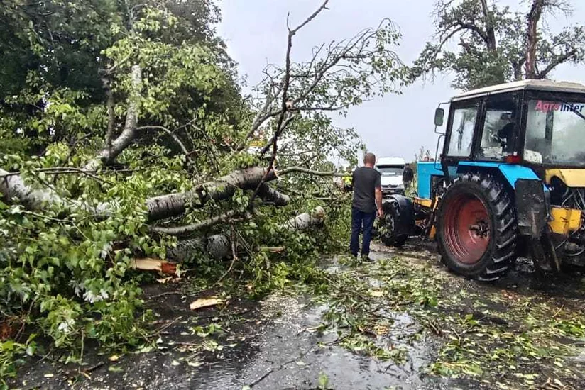 Yevlax-Zaqatala-Gürcüstan avtomobil yolunun bir hissəsindəki problem aradan qaldırılıb