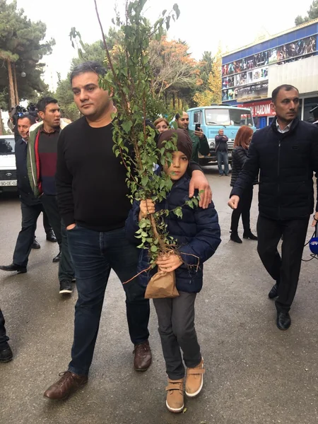 Bakıda yeni yaşıllıqların salınması məqsədilə vətəndaşlara pulsuz tinglər paylanılıb