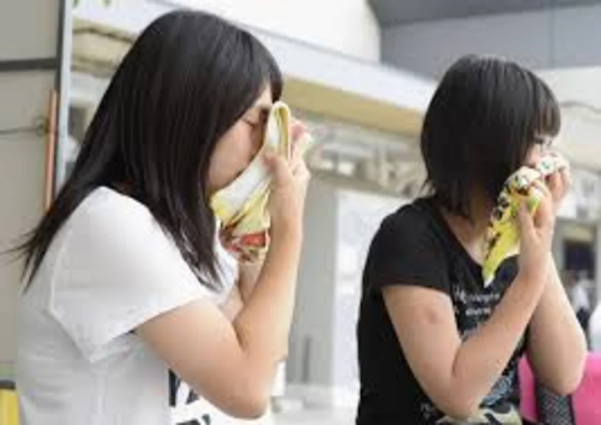 1 192 people hospitalized in Japan in a day due to heat