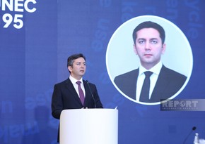 Ялчин Рафиев: Финансовые механизмы усугубляют противоречия в климатической политике