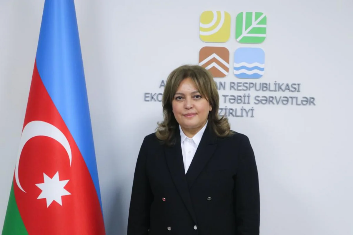 Umayra Taghiyeva: Azerbaijan has made ambitious commitments to reduce emissions