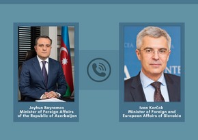 Azərbaycan və Slovakiya XİN başçıları telefonla danışıb