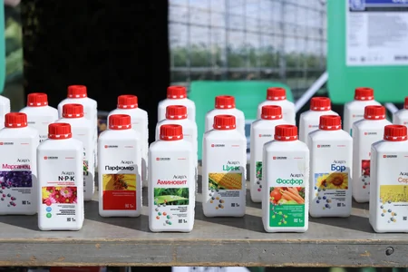 Tovuzda Aqrar Biznes Festivalı keçirilib
