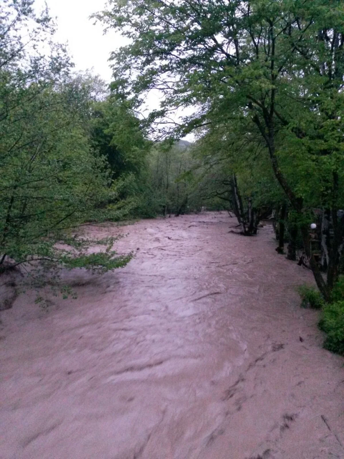 Güclü leysan Lənkəran-Lerik yolunda nəqliyyatın hərəkətinə maneələr yaradıb - FOTO