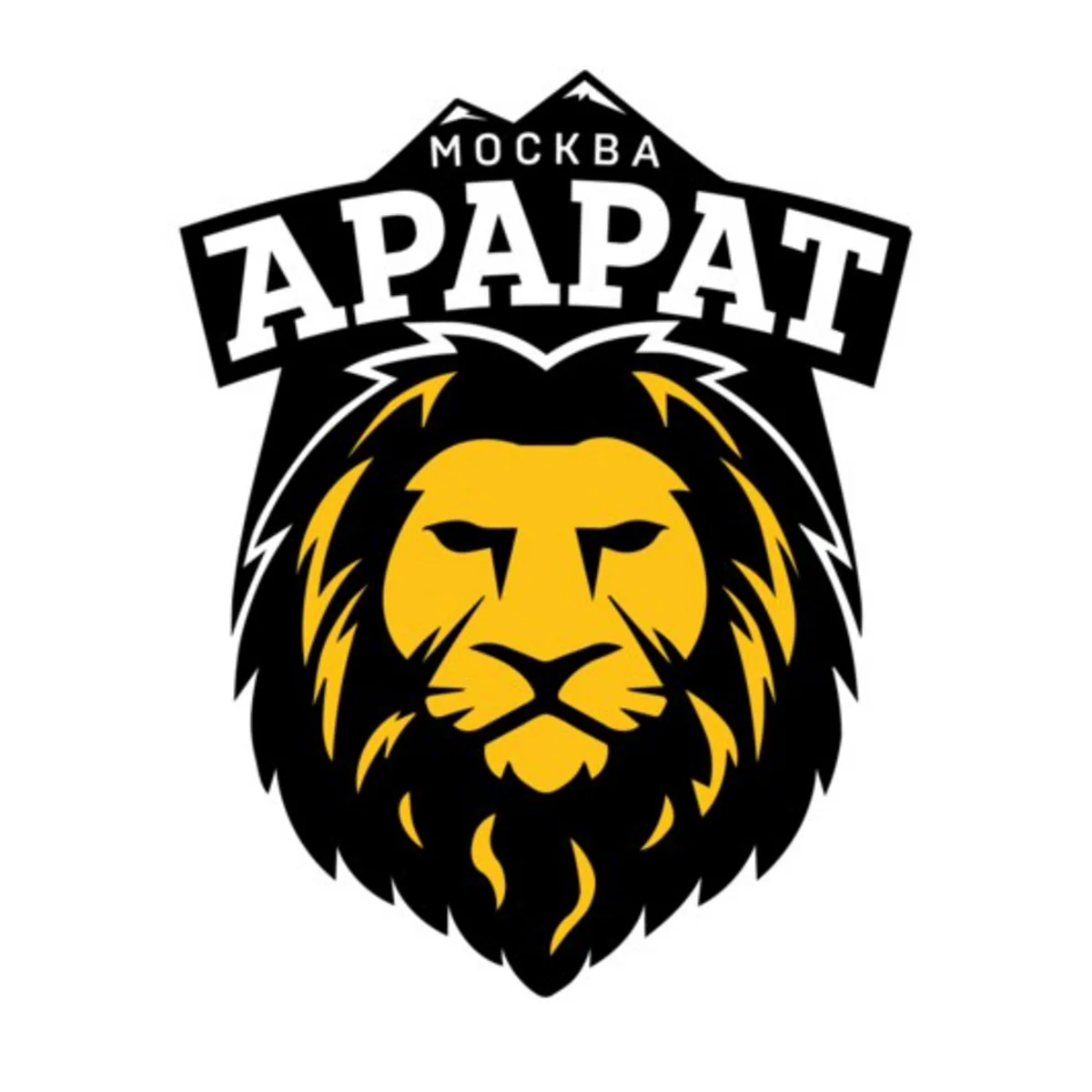 Ararat FC founded by Moscow Armenians stops activity