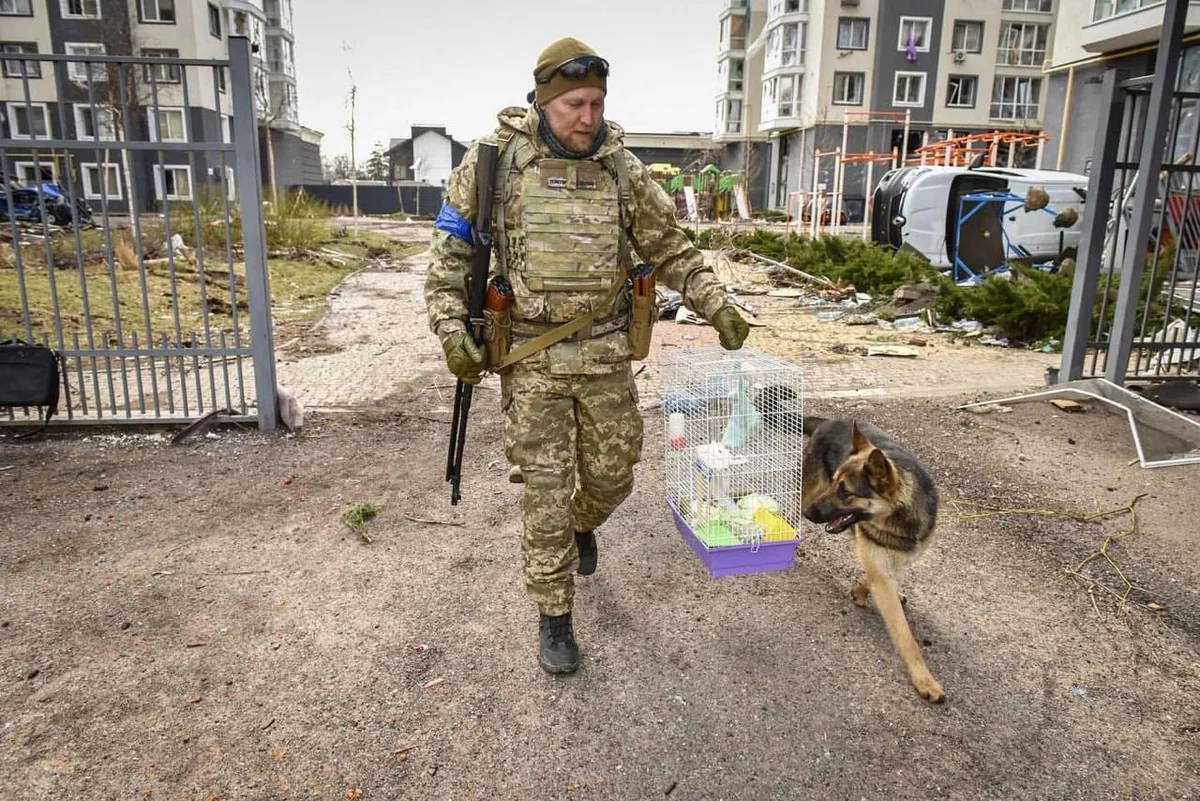 Ukrayna hərbçiləri daha bir yaşayış məntəqəsini azad edib