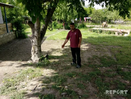 Ağdamda ilanlar evlərə hücum edib - FOTO