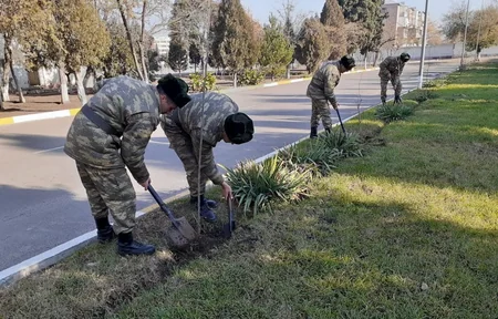 Azərbaycan Ordusunda ağacəkmə aksiyası davam edir