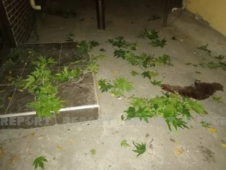 Bakıda oğurluğa cəhd edən kişi özünü 5-ci mərtəbədən yerə atıb