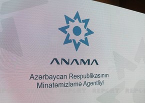 ANAMA azad edilmiş ərazilərdəki yanğınlarla bağlı vətəndaşlara çağırış edib