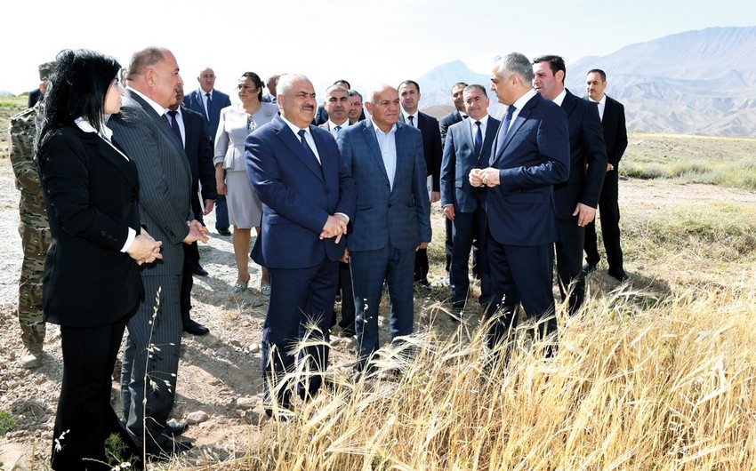 Naxçıvanda taxıl biçini başlayıb