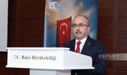 Səfir: FETÖ tamamilə məhv edilənədək Türkiyə mübarizəyə davam edəcək