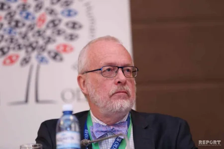 OSCE hails Azerbaijan's efforts to hold transparent elections