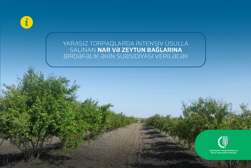 Azərbaycanda deqradasiyaya uğramış və yarasız torpaqlar əkinə qaytarılır