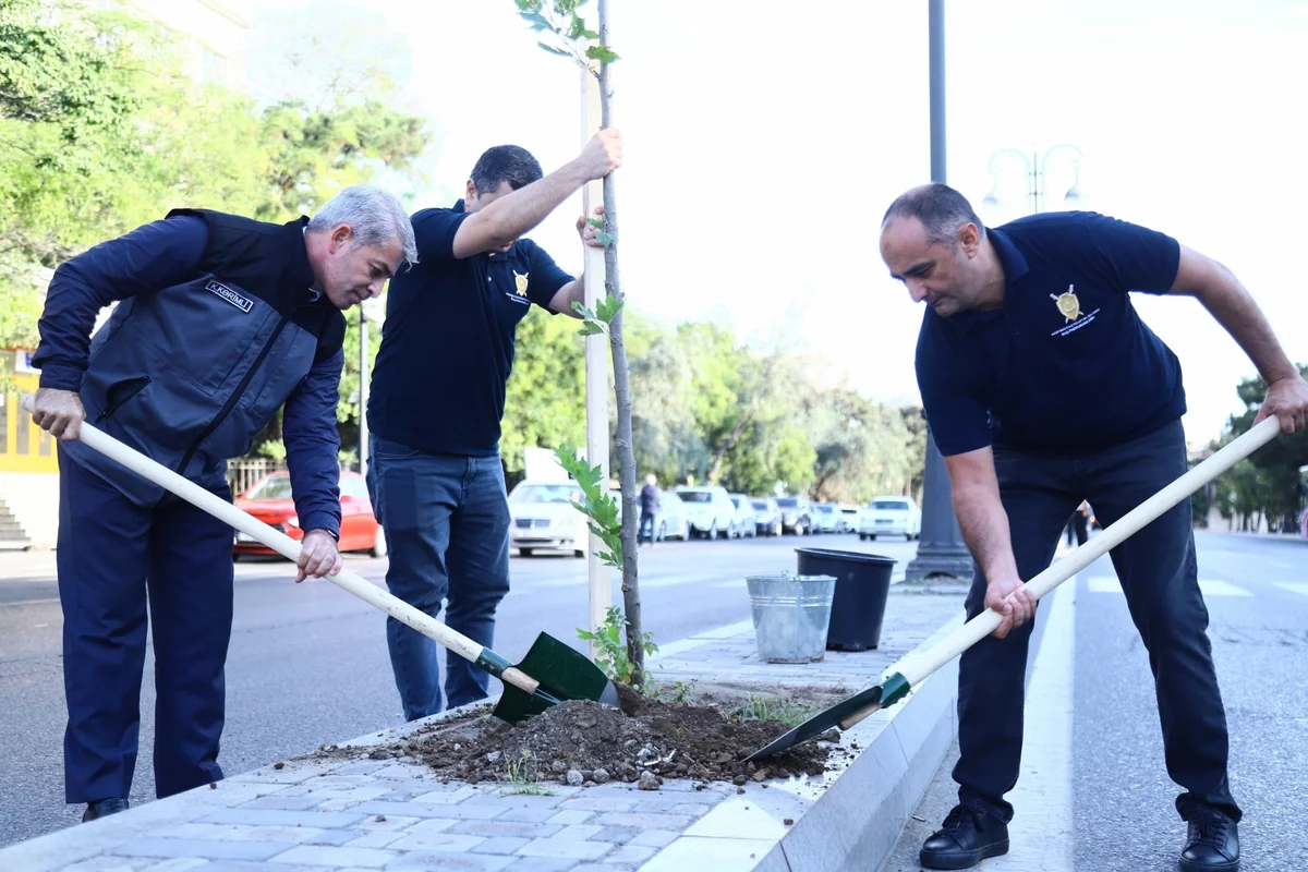 Baş Prokurorluq, ETSN və BDU-nun birgə ECOLEAD layihəsi icra olunur