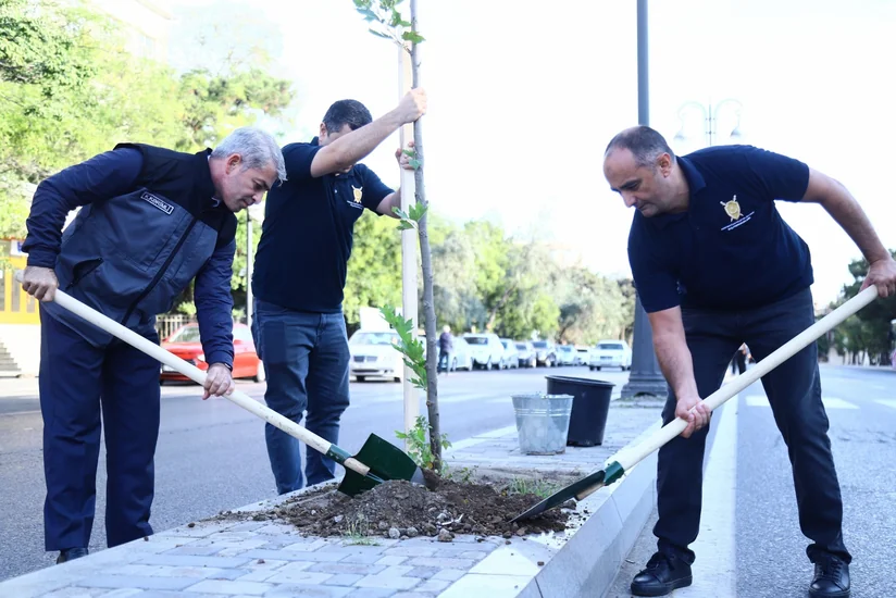 Baş Prokurorluq, ETSN və BDU-nun birgə ECOLEAD layihəsi icra olunur