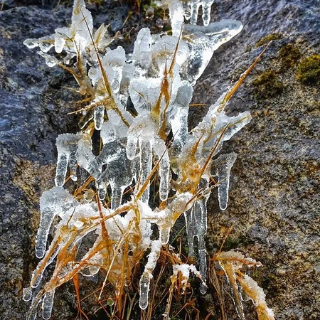 ​В первый день зимы в Австралии выпал снег - ФОТО