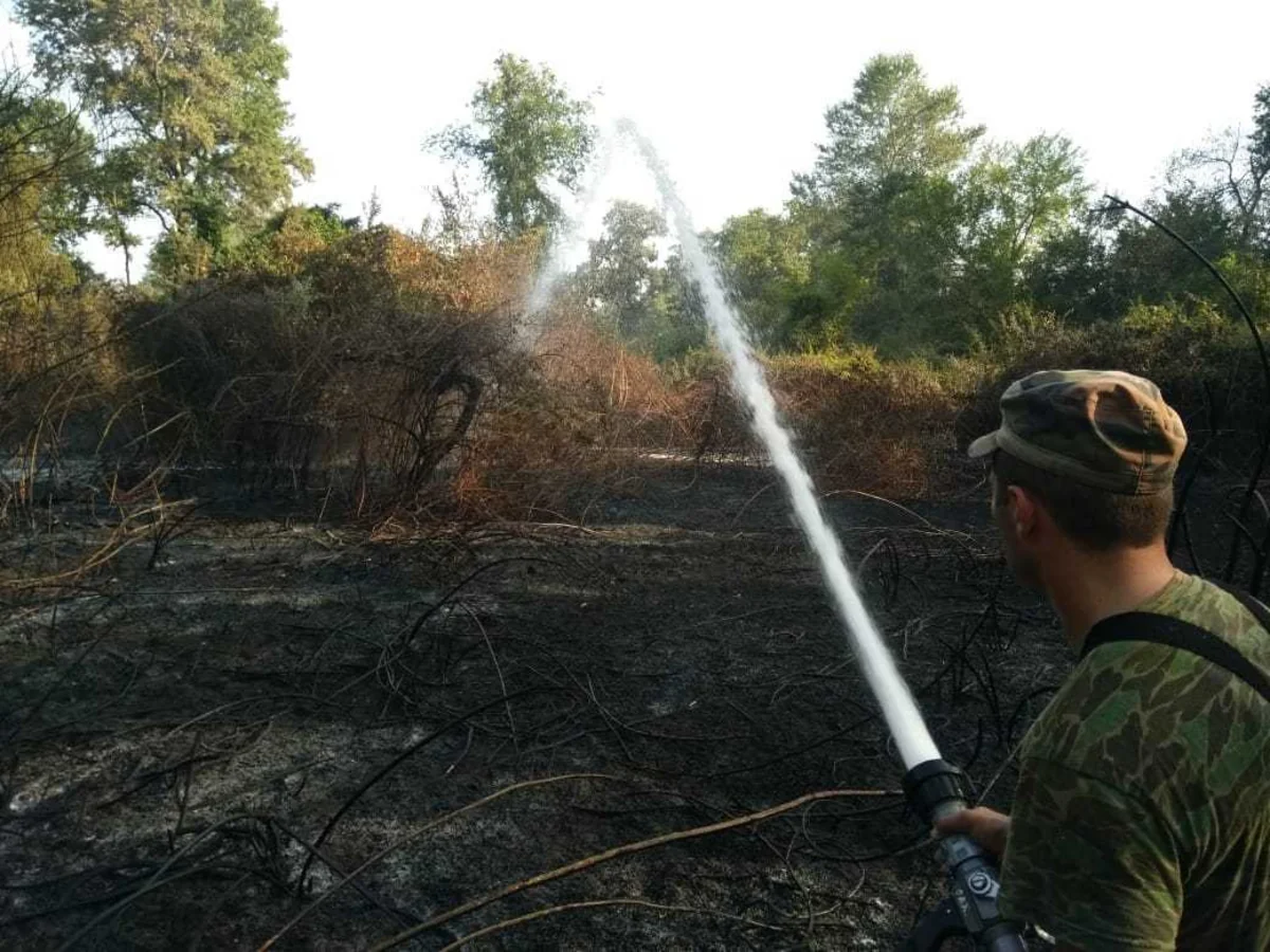 Qaxda meşə zolağında baş verən yanğın söndürülüb - YENİLƏNİB