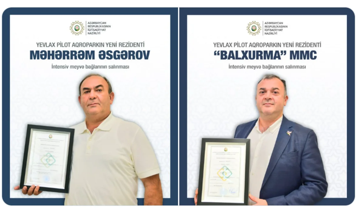 Intensive orchards to be established in Yevlakh Pilot Agropark 