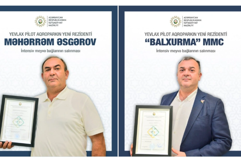 Yevlax Pilot Aqroparkda intensiv meyvə bağları salınacaq