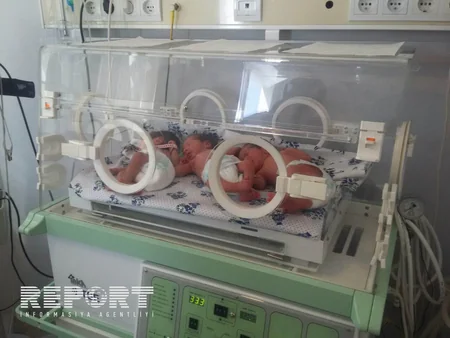 ​Bərdədə 10 ildir övladı olmayan ailənin üçəm qızları dünyaya gəlib - FOTO