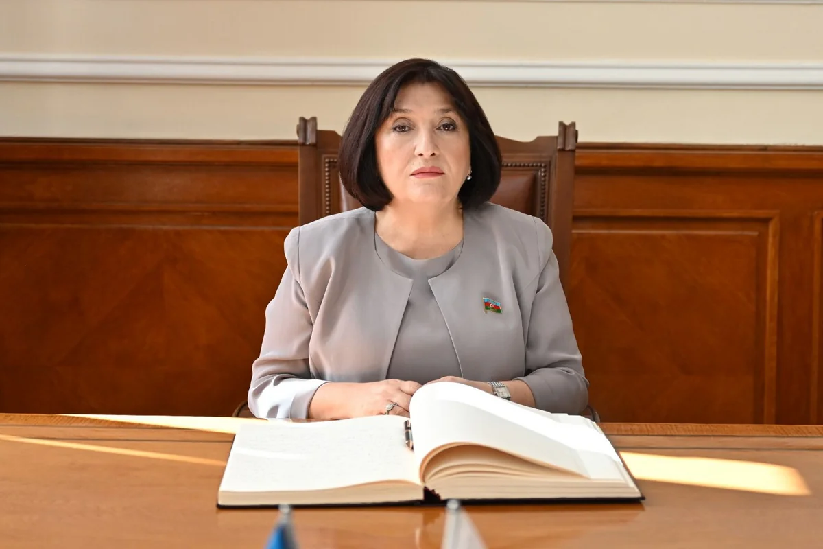 Sahibə Qafarova: “Ermənistanın sürətlə silahlanması region üçün yeni təhlükələrə gətirib çıxarır”