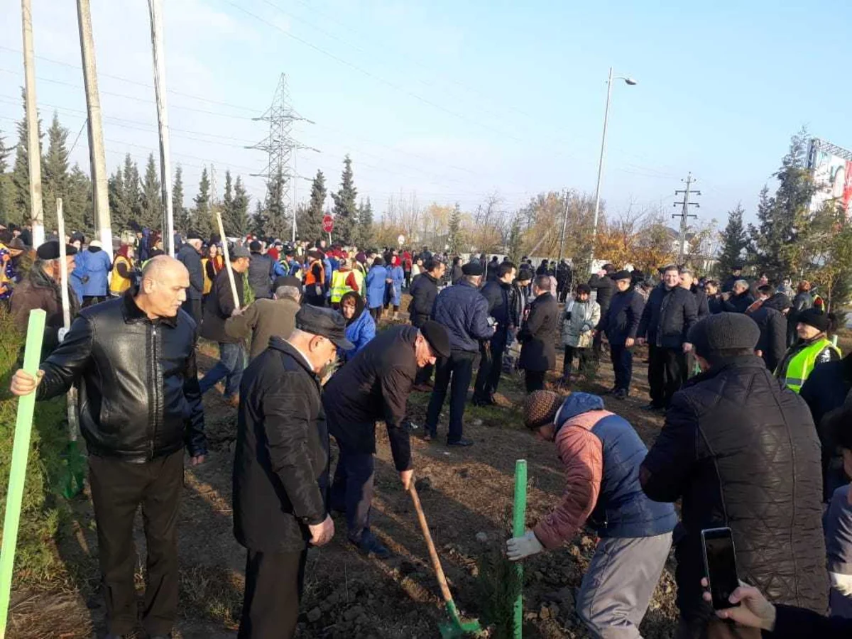 Nəsiminin yubileyi münasibətilə ölkədə bir gündə 650 min ağac əkilir
