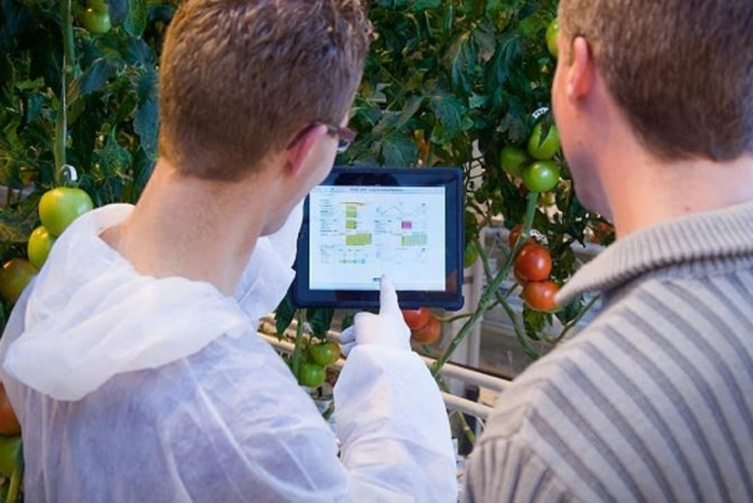 Azərbaycan kənd təsərrüfatı sektorunda unikal yeniliklər edəcək