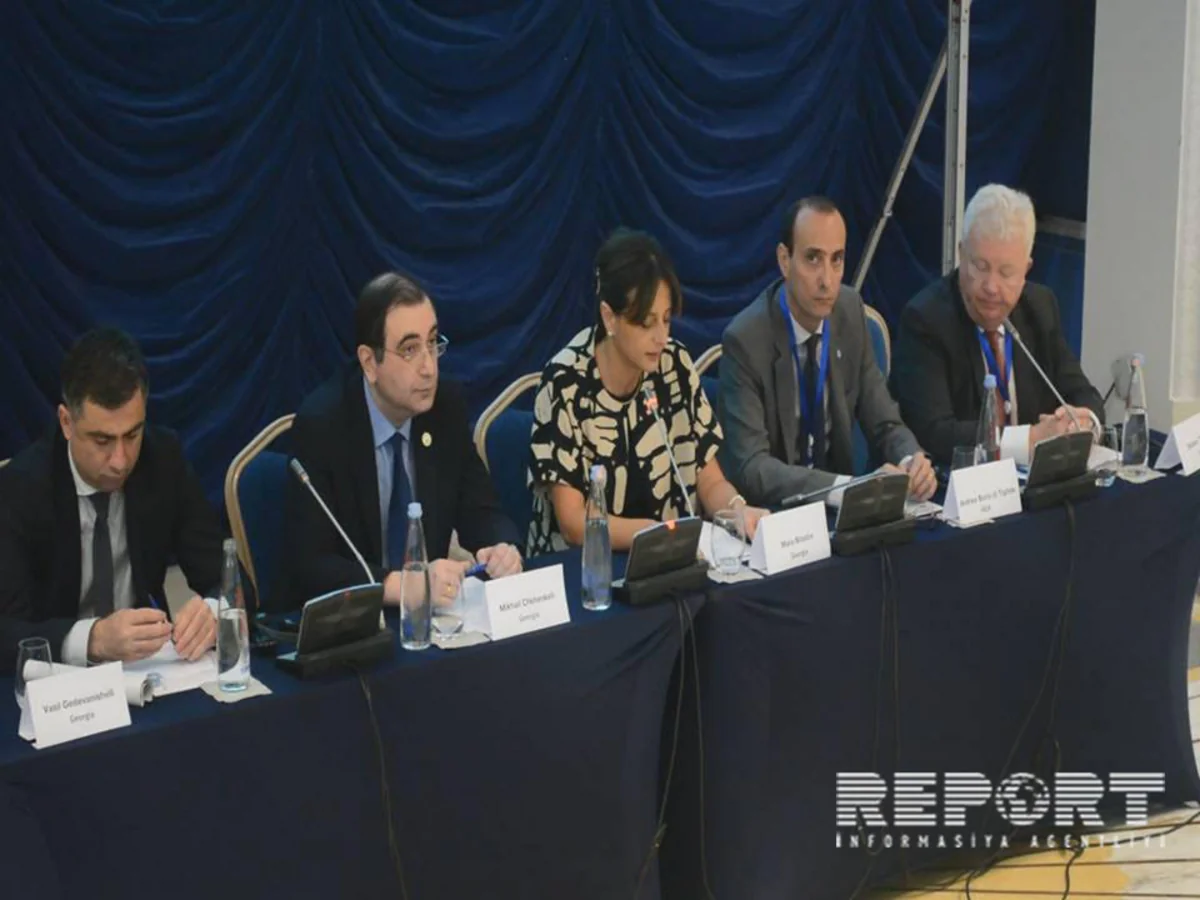 Gürcü ekspert: “Metsamor AES bütün region üçün böyük təhlükə mənbəyidir”