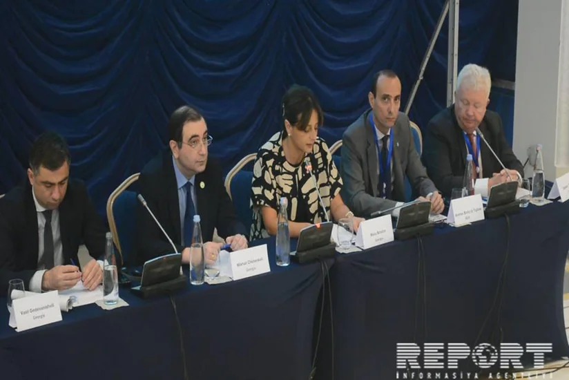 Gürcü ekspert: “Metsamor AES bütün region üçün böyük təhlükə mənbəyidir”