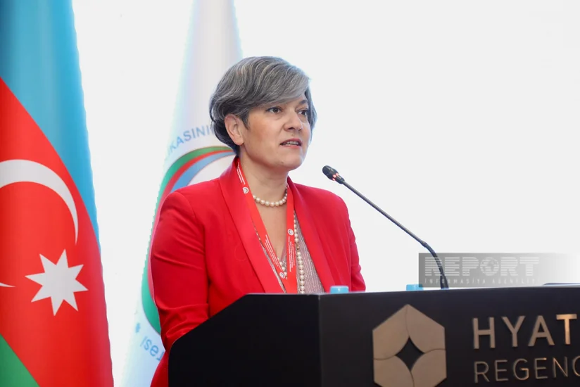 Council of Europe official: One in three women in the world is subjected to violence