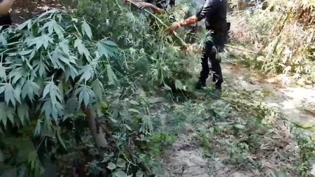 Polis Ağcabədidə əməliyyat keçirib, saxlanılan var