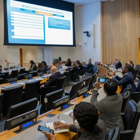 COP29 nümayəndə heyəti BMT Baş Assambleyasının sessiyası və Nyu-York İqlim Həftəsinə qatılıb