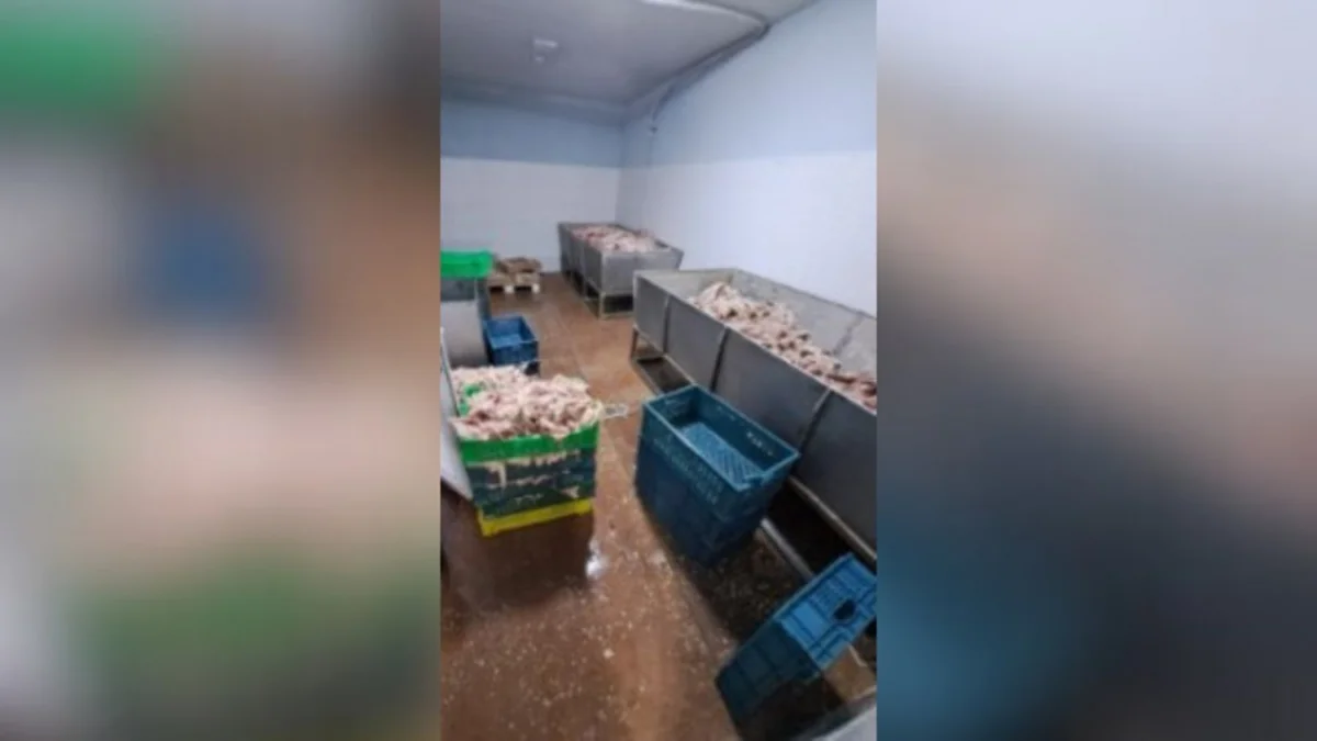 Buzovnada dönər emalı müəssisəsində ciddi nöqsanlar aşkarlanıb