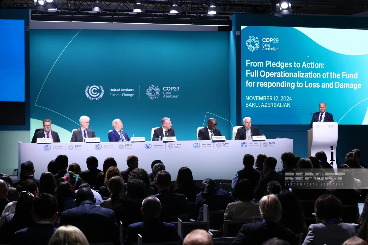 Loss and Damage Fund soon to provide assistance to developing countries ...